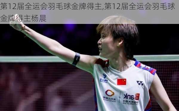 第12届全运会羽毛球金牌得主,第12届全运会羽毛球金牌得主杨晨
