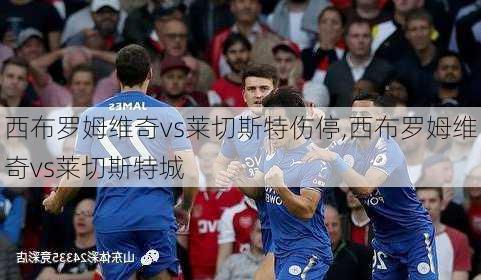 西布罗姆维奇vs莱切斯特伤停,西布罗姆维奇vs莱切斯特城
