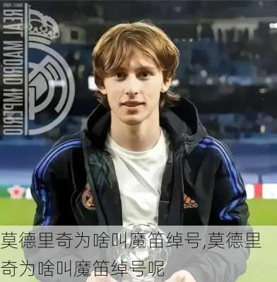 莫德里奇为啥叫魔笛绰号,莫德里奇为啥叫魔笛绰号呢