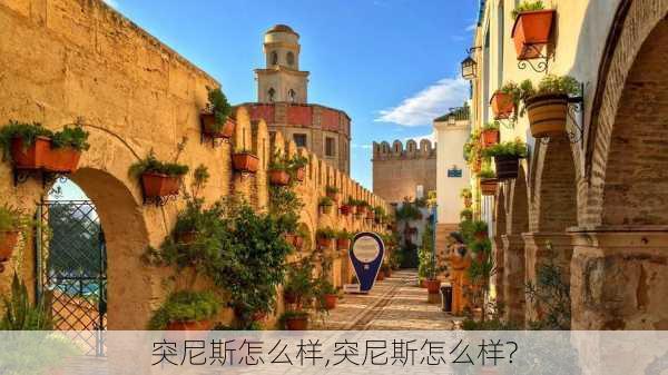 突尼斯怎么样,突尼斯怎么样?