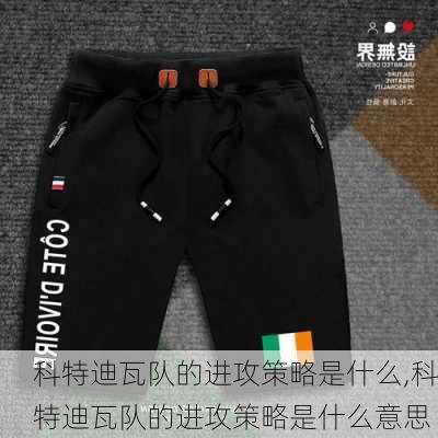 科特迪瓦队的进攻策略是什么,科特迪瓦队的进攻策略是什么意思