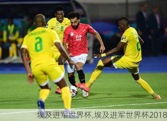 埃及进军世界杯,埃及进军世界杯2018
