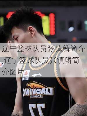 辽宁篮球队员张镇麟简介,辽宁篮球队员张镇麟简介图片
