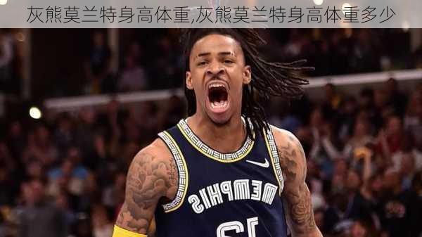 灰熊莫兰特身高体重,灰熊莫兰特身高体重多少