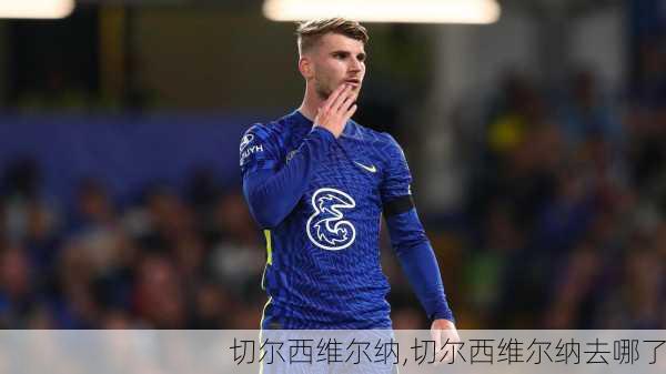 切尔西维尔纳,切尔西维尔纳去哪了