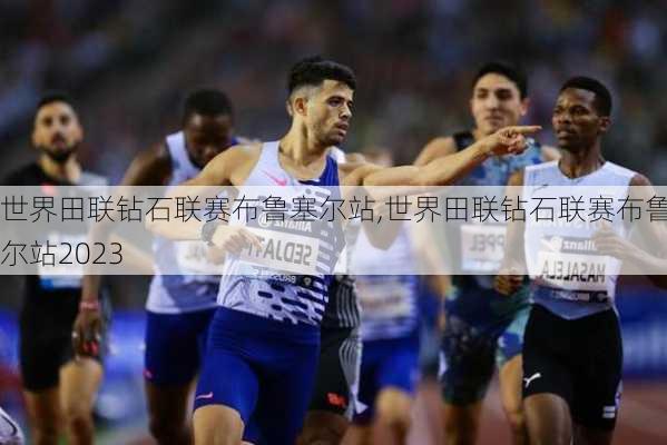 世界田联钻石联赛布鲁塞尔站,世界田联钻石联赛布鲁塞尔站2023