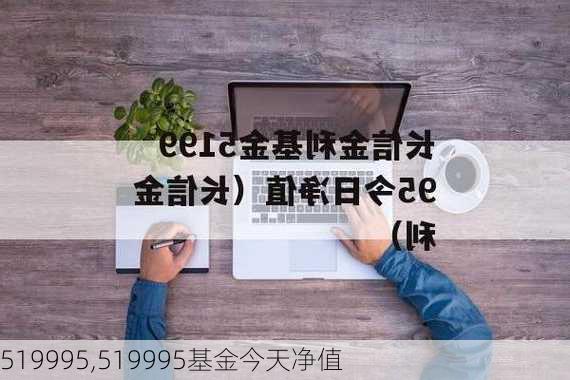 519995,519995基金今天净值