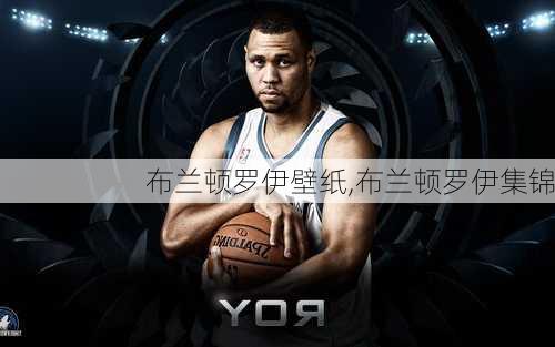 布兰顿罗伊壁纸,布兰顿罗伊集锦