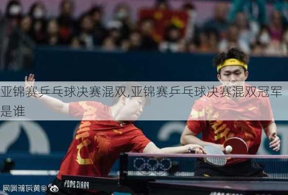 亚锦赛乒乓球决赛混双,亚锦赛乒乓球决赛混双冠军是谁