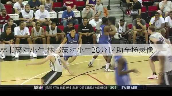 林书豪对小牛,林书豪对小牛28分14助全场录像
