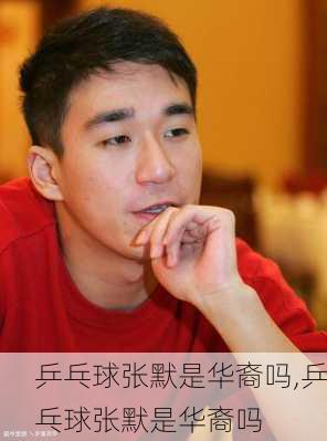 乒乓球张默是华裔吗,乒乓球张默是华裔吗