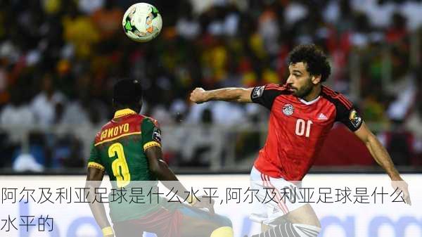 阿尔及利亚足球是什么水平,阿尔及利亚足球是什么水平的