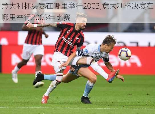 意大利杯决赛在哪里举行2003,意大利杯决赛在哪里举行2003年比赛