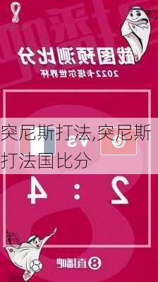 突尼斯打法,突尼斯打法国比分