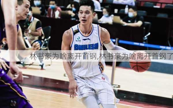 林书豪为啥离开首钢,林书豪为啥离开首钢了
