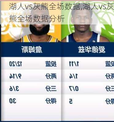 湖人vs灰熊全场数据,湖人vs灰熊全场数据分析