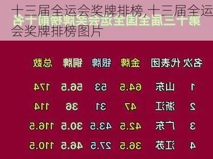 十三届全运会奖牌排榜,十三届全运会奖牌排榜图片