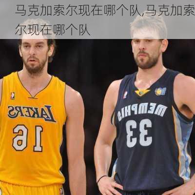 马克加索尔现在哪个队,马克加索尔现在哪个队