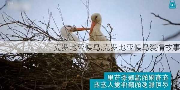克罗地亚候鸟,克罗地亚候鸟爱情故事