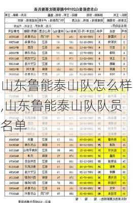 山东鲁能泰山队怎么样,山东鲁能泰山队队员名单