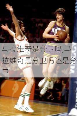 马拉维奇是分卫吗,马拉维奇是分卫吗还是分卫