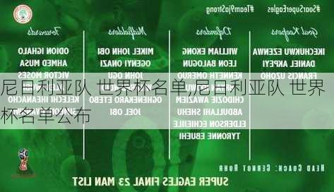 尼日利亚队 世界杯名单,尼日利亚队 世界杯名单公布