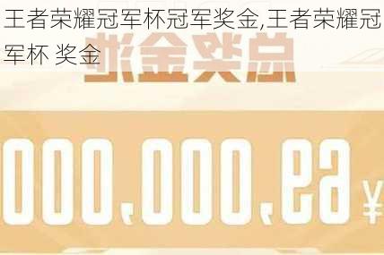王者荣耀冠军杯冠军奖金,王者荣耀冠军杯 奖金