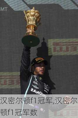 汉密尔顿f1冠军,汉密尔顿f1冠军数