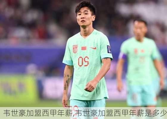 韦世豪加盟西甲年薪,韦世豪加盟西甲年薪是多少