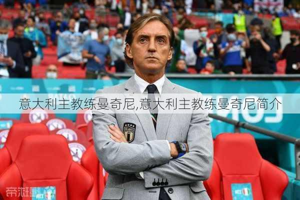 意大利主教练曼奇尼,意大利主教练曼奇尼简介