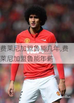 费莱尼加盟鲁能几年,费莱尼加盟鲁能年薪