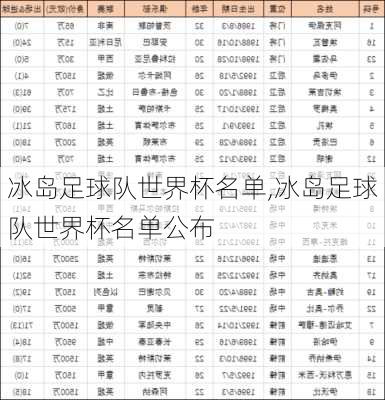 冰岛足球队世界杯名单,冰岛足球队世界杯名单公布