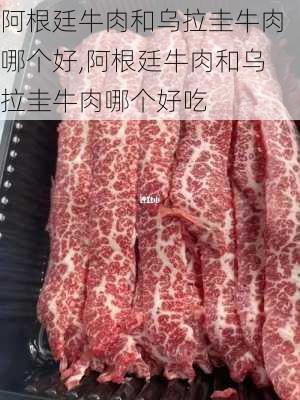 阿根廷牛肉和乌拉圭牛肉哪个好,阿根廷牛肉和乌拉圭牛肉哪个好吃