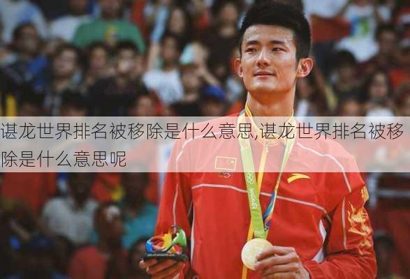 谌龙世界排名被移除是什么意思,谌龙世界排名被移除是什么意思呢