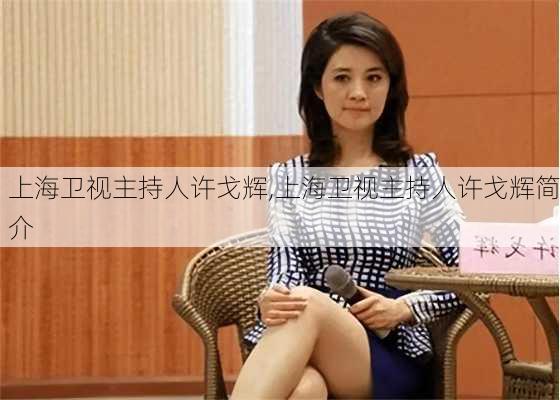 上海卫视主持人许戈辉,上海卫视主持人许戈辉简介