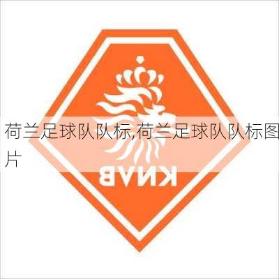 荷兰足球队队标,荷兰足球队队标图片