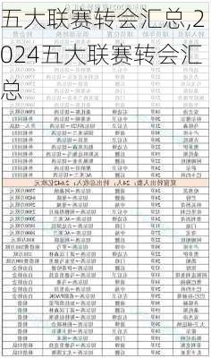 五大联赛转会汇总,2024五大联赛转会汇总