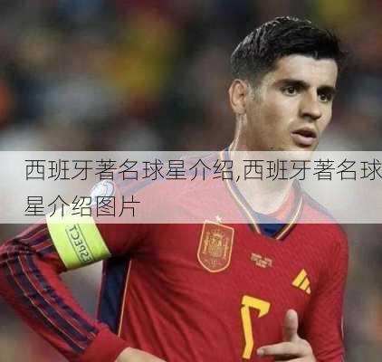 西班牙著名球星介绍,西班牙著名球星介绍图片