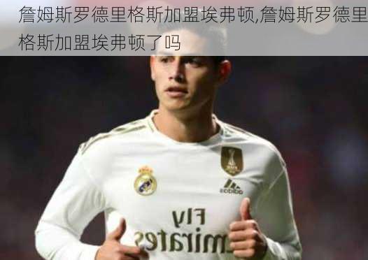 詹姆斯罗德里格斯加盟埃弗顿,詹姆斯罗德里格斯加盟埃弗顿了吗