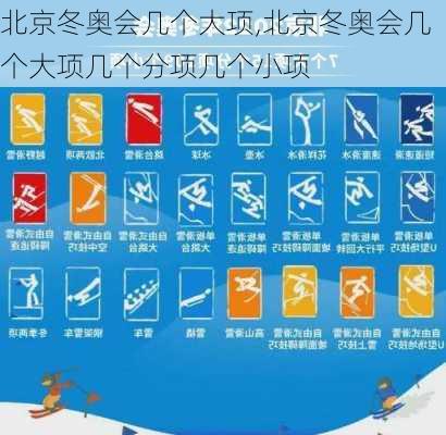 北京冬奥会几个大项,北京冬奥会几个大项几个分项几个小项