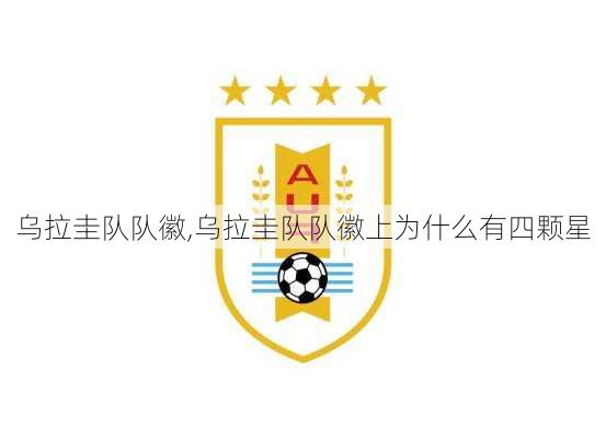 乌拉圭队队徽,乌拉圭队队徽上为什么有四颗星