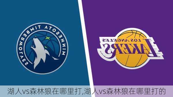 湖人vs森林狼在哪里打,湖人vs森林狼在哪里打的