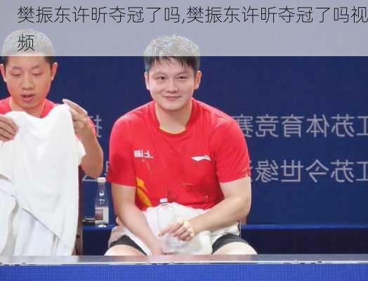 樊振东许昕夺冠了吗,樊振东许昕夺冠了吗视频