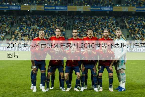 2010世界杯西班牙阵容图,2010世界杯西班牙阵容图片
