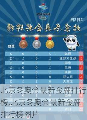 北京冬奥会最新金牌排行榜,北京冬奥会最新金牌排行榜图片