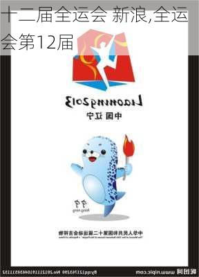 十二届全运会 新浪,全运会第12届