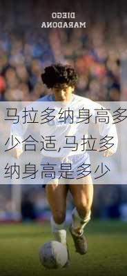 马拉多纳身高多少合适,马拉多纳身高是多少