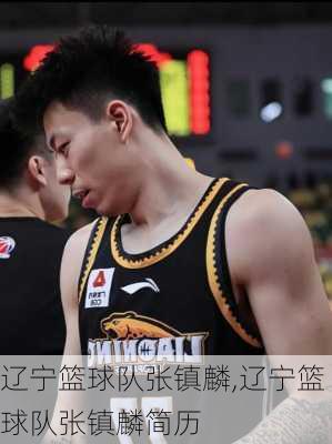 辽宁篮球队张镇麟,辽宁篮球队张镇麟简历
