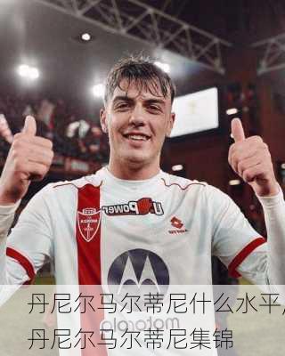 丹尼尔马尔蒂尼什么水平,丹尼尔马尔蒂尼集锦