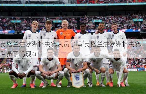 英格兰进欧洲杯决赛队员了吗,英格兰进欧洲杯决赛队员了吗现在